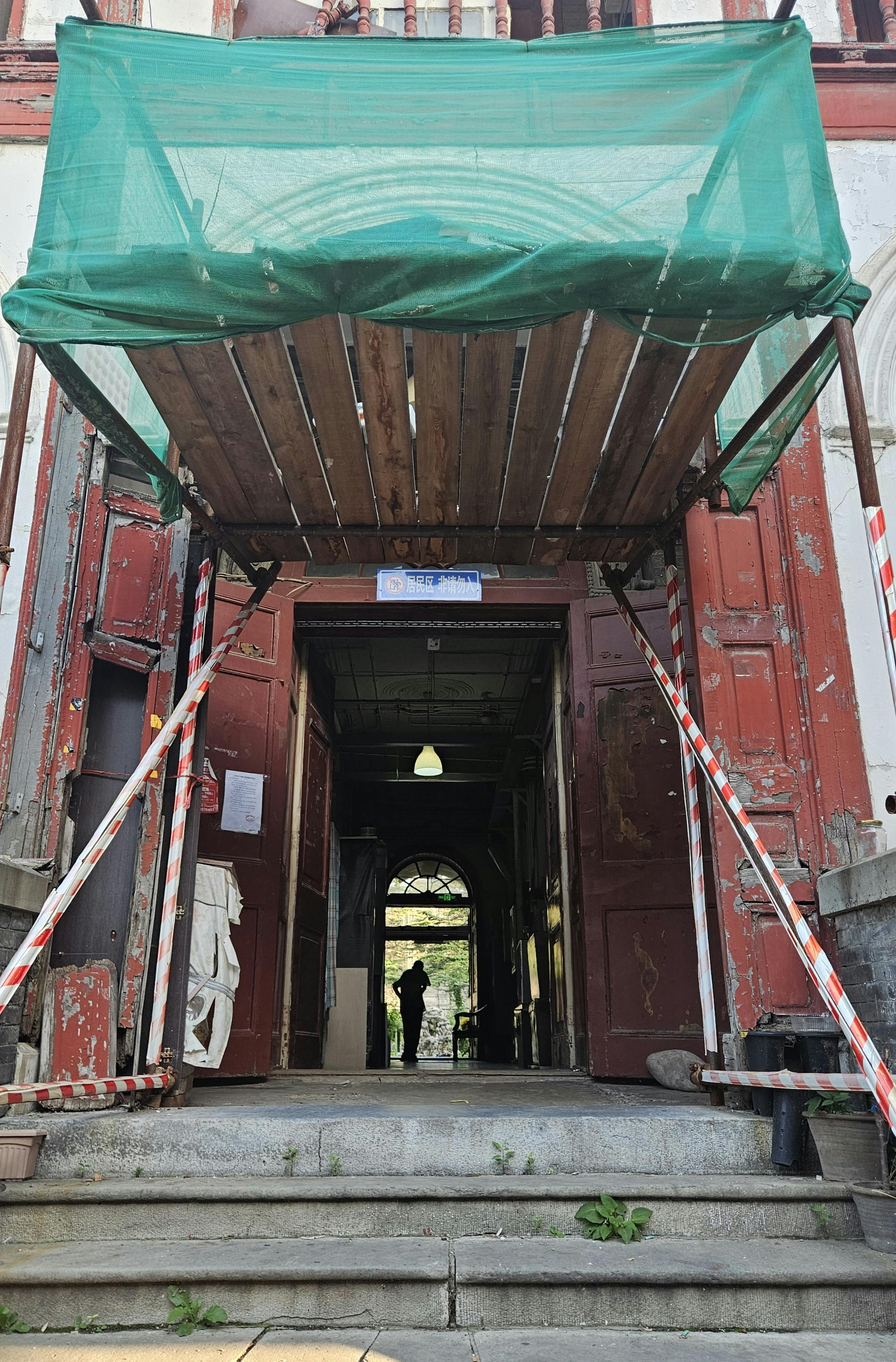 pexels marineorga 33227142